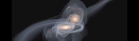 GRAVITAS: galaxy simulations